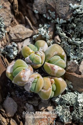 Environmental photography South Africa
