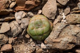 Environmental photography South Africa