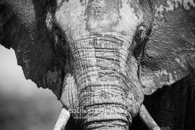 Environmental Photographer Africa