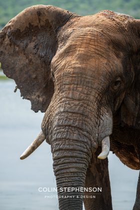 Environmental Photographer Africa