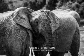 Environmental Photographer Africa
