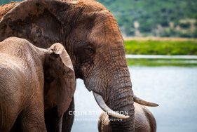 Environmental Photographer Africa