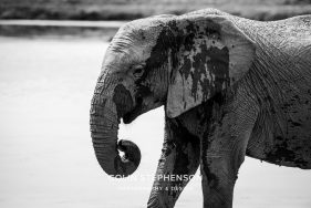 Environmental Photographer Africa