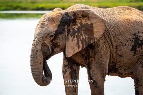 Environmental Photographer Africa