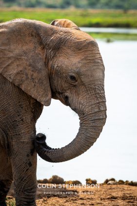 Environmental Photographer Africa
