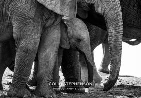 Environmental Photographer Africa