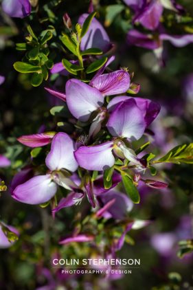 Environmental photography South Africa
