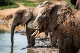 Environmental Photographer Africa