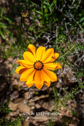 Environmental photography South Africa