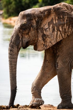 Environmental Photographer Africa