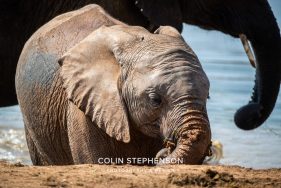 Environmental Photographer Africa
