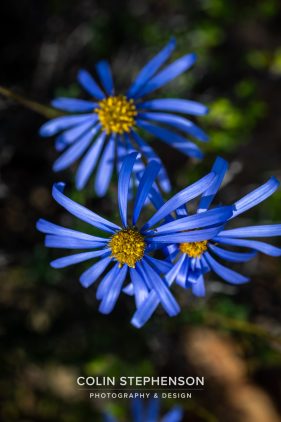 Environmental photography South Africa