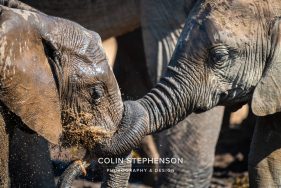 Environmental Photographer Africa