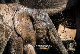 Environmental Photographer Africa