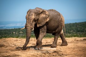 Environmental Photographer Africa