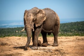 Environmental Photographer Africa