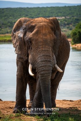 Environmental Photographer Africa
