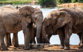 Environmental Photographer Africa