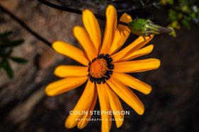 Environmental photography South Africa