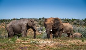 Environmental Photographer Africa