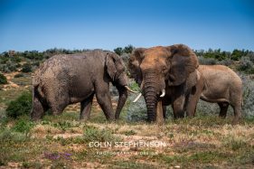 Environmental Photographer Africa