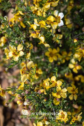 Environmental photography South Africa