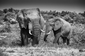 Environmental Photographer Africa
