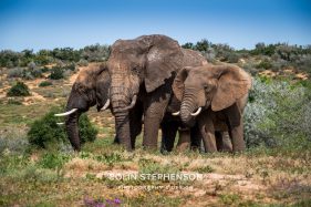 Environmental Photographer Africa