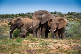 Environmental Photographer Africa