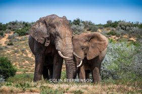 Environmental Photographer Africa