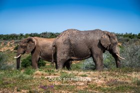 Environmental Photographer Africa
