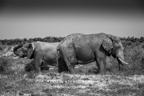 Environmental Photographer Africa