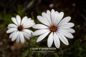 Environmental photography South Africa