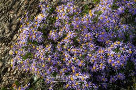 Environmental photography South Africa