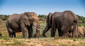 Environmental Photographer Africa