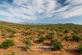 Environmental photography South Africa