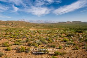 Environmental photography South Africa