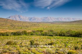 Environmental photography South Africa