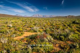 Environmental photography South Africa