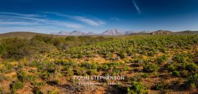 Environmental photography South Africa