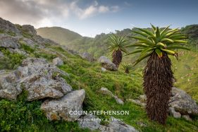 photo tours south africa