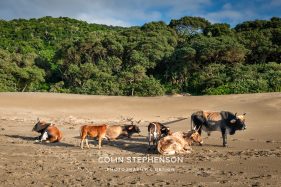 photo tours south africa