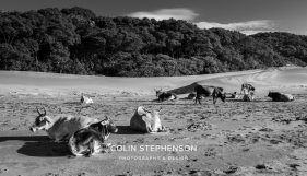 photo tours south africa