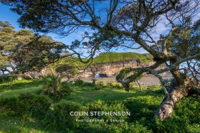 photo tours south africa