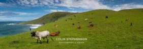 photo tours south africa