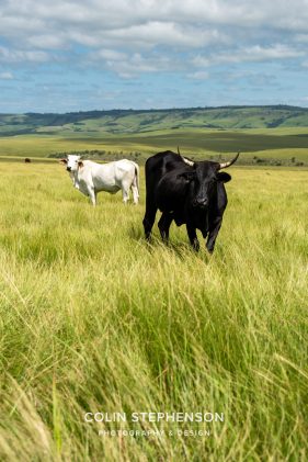 photo tours south africa
