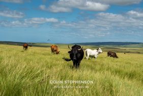 photo tours south africa