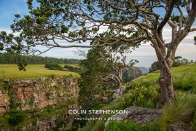 photo tours south africa