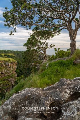 photo tours south africa