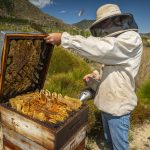 Environmental Photographer Africa